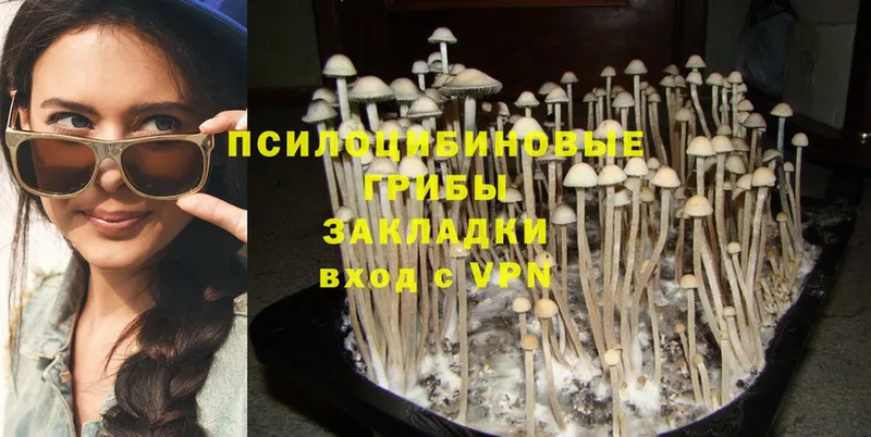 Псилоцибиновые грибы Magic Shrooms  МЕГА как войти  Вихоревка 